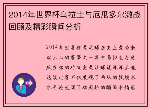 2014年世界杯乌拉圭与厄瓜多尔激战回顾及精彩瞬间分析